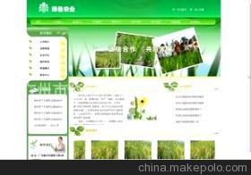 宁波建网站与网页设计 企业网站建设如何选择专业互联网服务商？